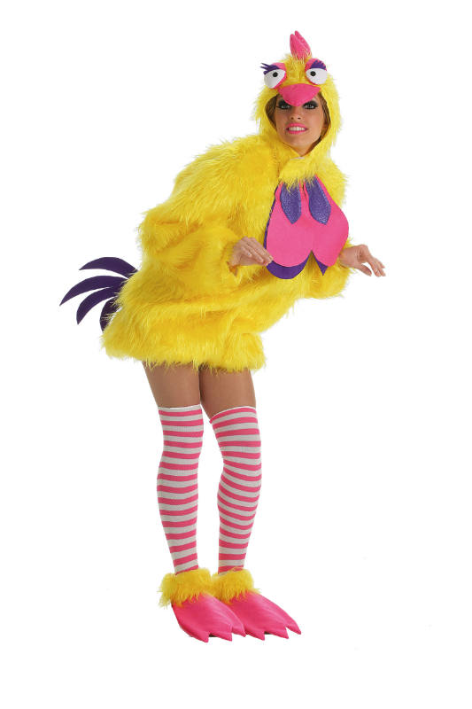 11242_4217 GALLINA ADULTO