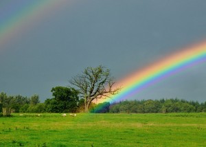 arcoiris