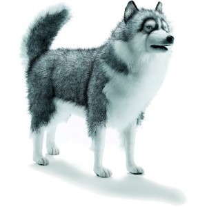 perro husky-animales grandes