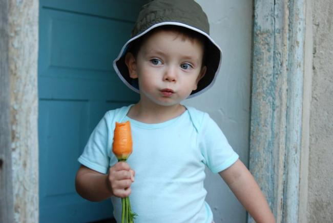 650_1000_3933592347_195e9833fc_o