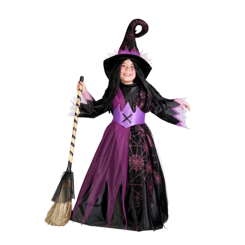 Disfraz BRUJA ARAÑA