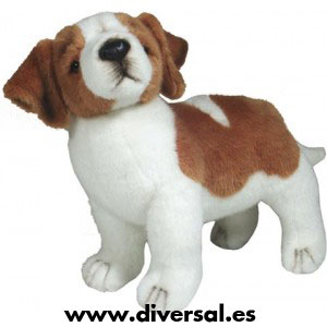 7789_cachorro-san-bernardo-tus-amigos