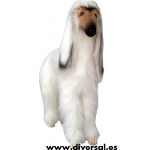 7820_perro-berger-afgano-animales-grandes