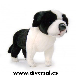 7821_perro-bordier-collie-tus-amigos