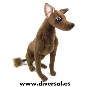 7840_perro-del-peru-tus-amigos