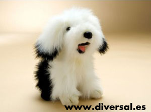 7841_perro-dulux-tus-amigos