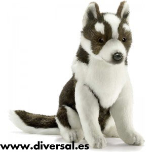 7843_perro-husky-25-tus-amigos-(1)