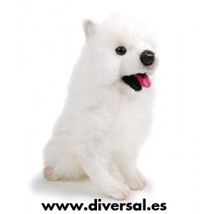 7865_perro-samoyedo-tus-amigos