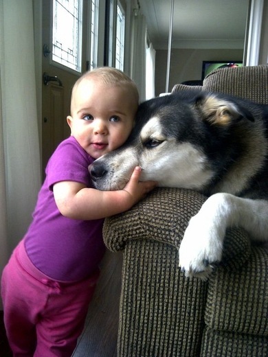 husky y bebe