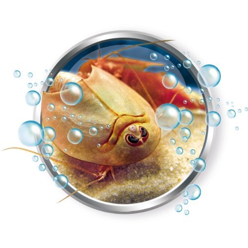 clementoni-clem12867-ciencia-y-triops-juego-original-B0073U5O8I-8005125128679-2-500x500