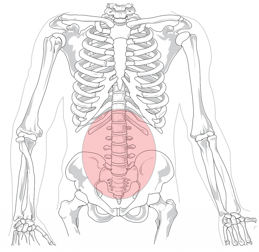 skeleton-41569_1280